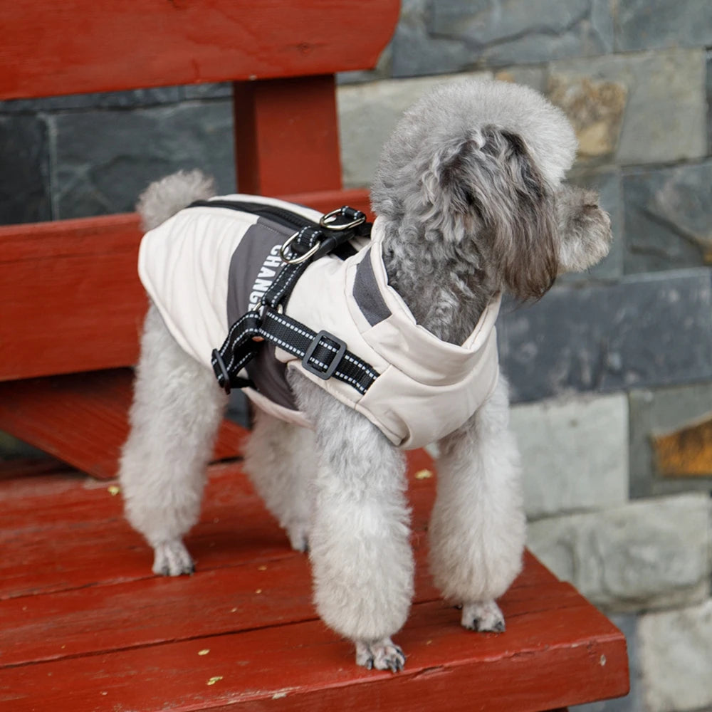 Dog Windbreaker Jacket with Leash