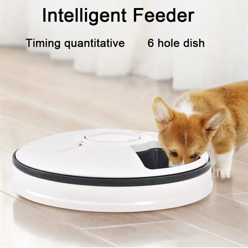 Dog 6 Meal Trays, Digital Timer, Portion Control, with Voice Recorder, Automatic Feeder