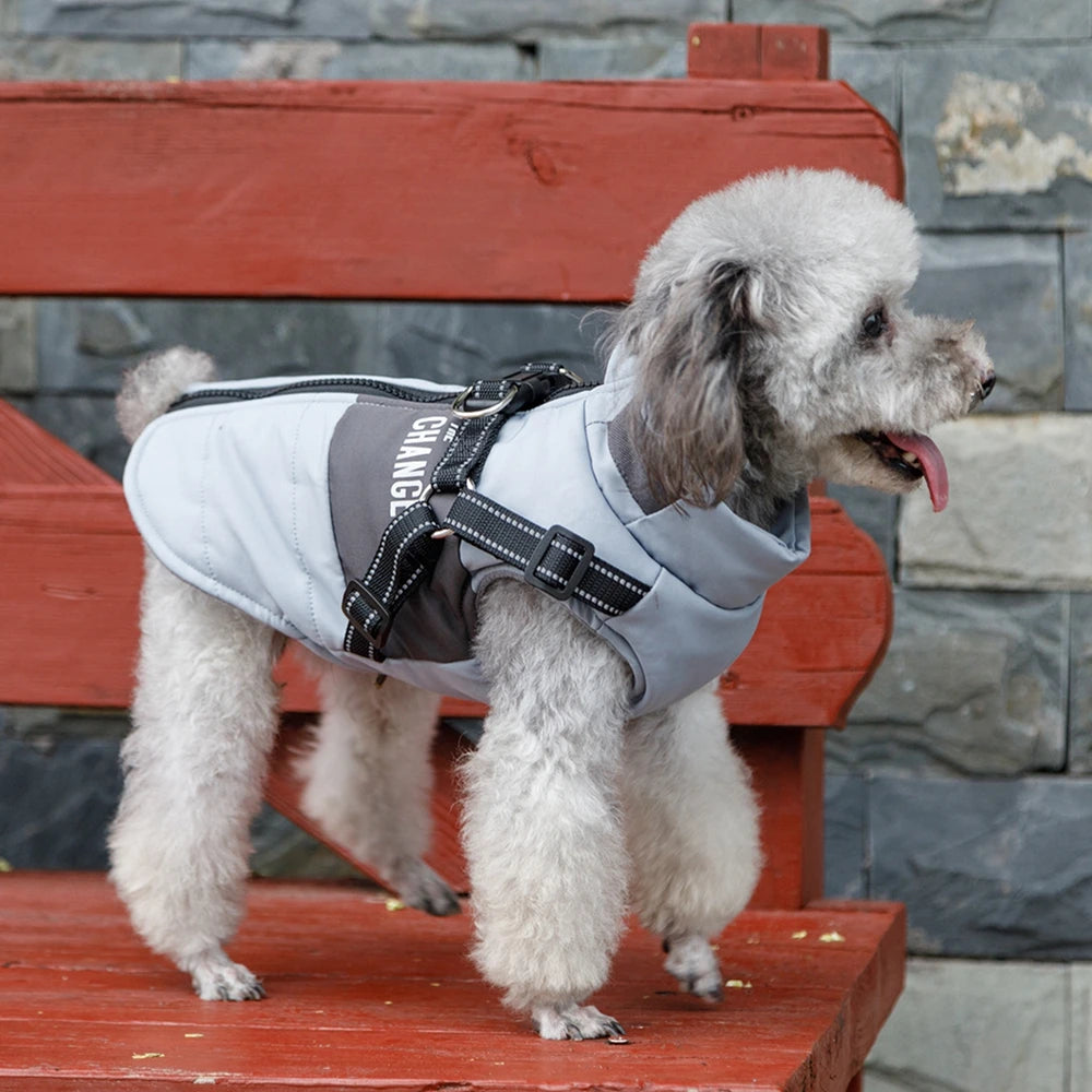 Dog Windbreaker Jacket with Leash