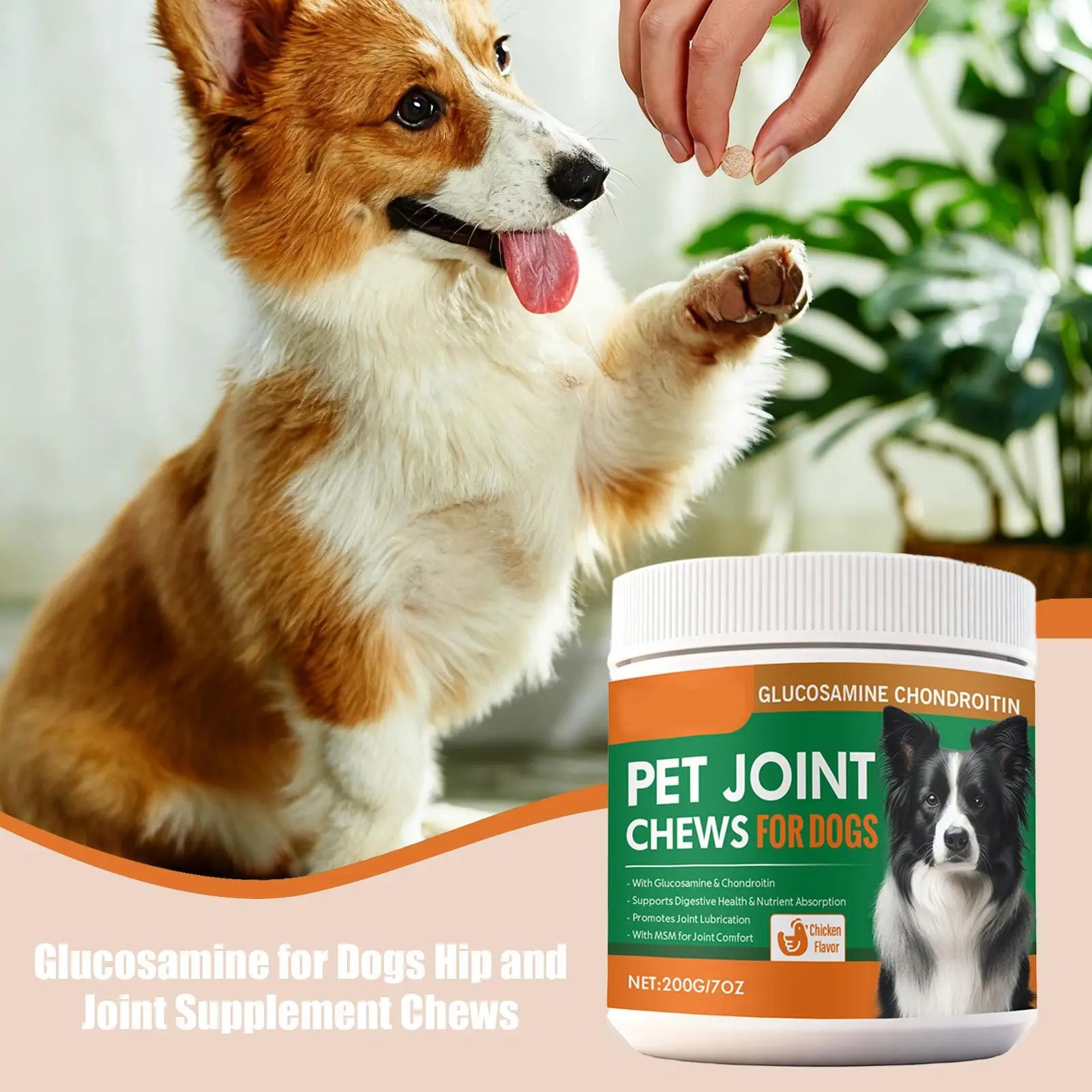 Joint Supplement for Dogs Chewable Pill 100-piece Dog Hip & Joint Care