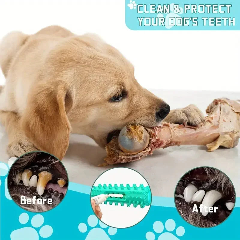 Dog Dental Chew Toothbrush Toy