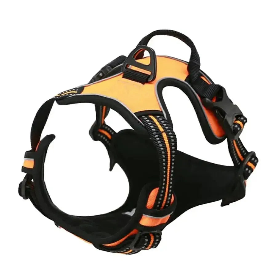 Premium Dog Harness Set