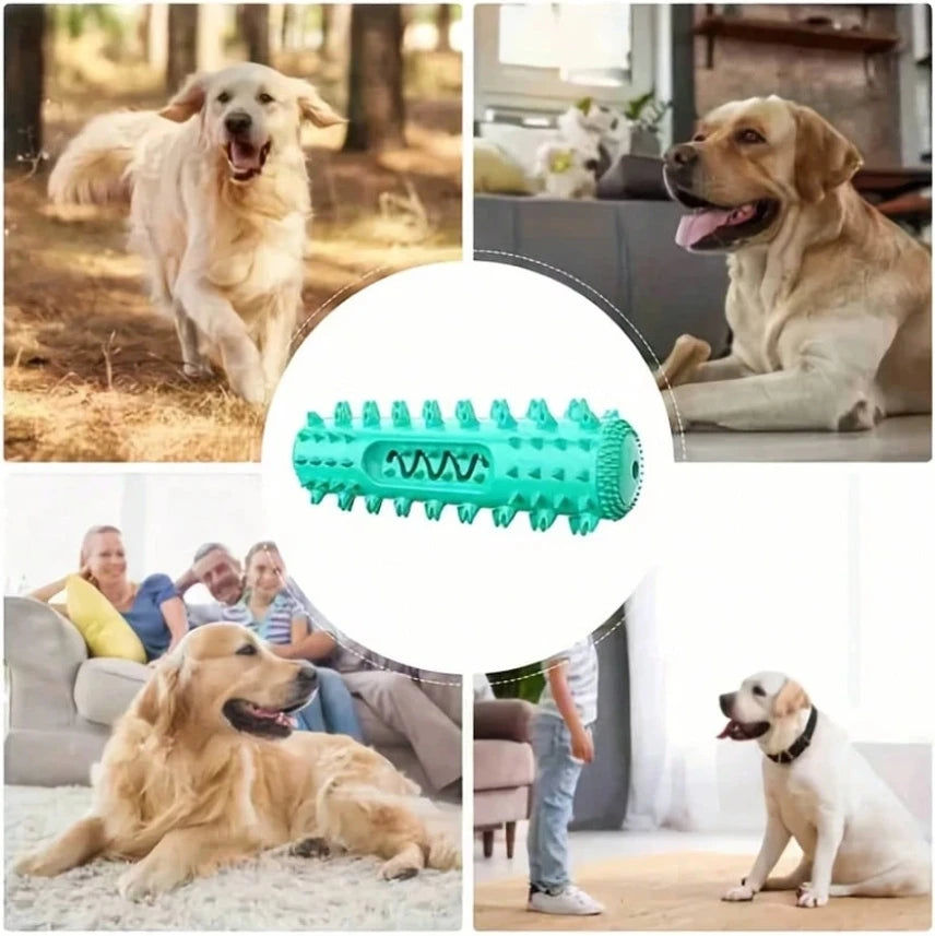 Dog Gift - Tooth Chewing toy, providing complete oral care for dogs that love chewing and preventing tartar accumulation