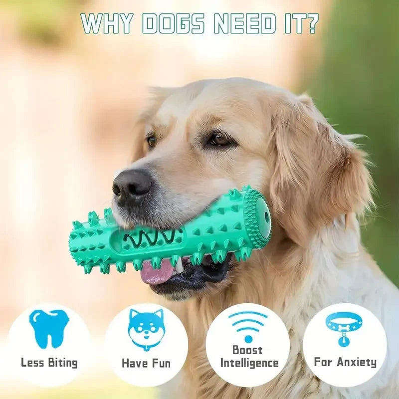Dog Dental Chew Toothbrush Toy