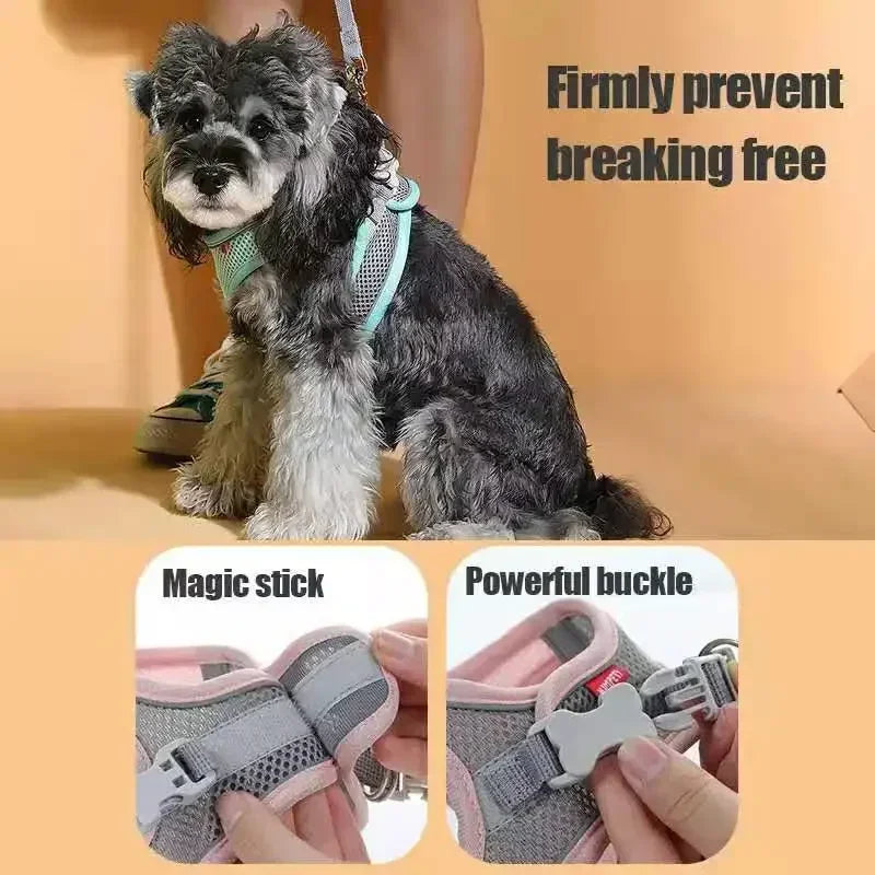 Dog Accessories Small Dog Collar Safety Vest Pet Chest Rope