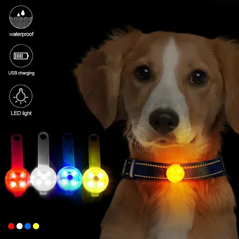Dog collar, loss collar, weatherproof LED safety light, USB rechargeable LED light collar