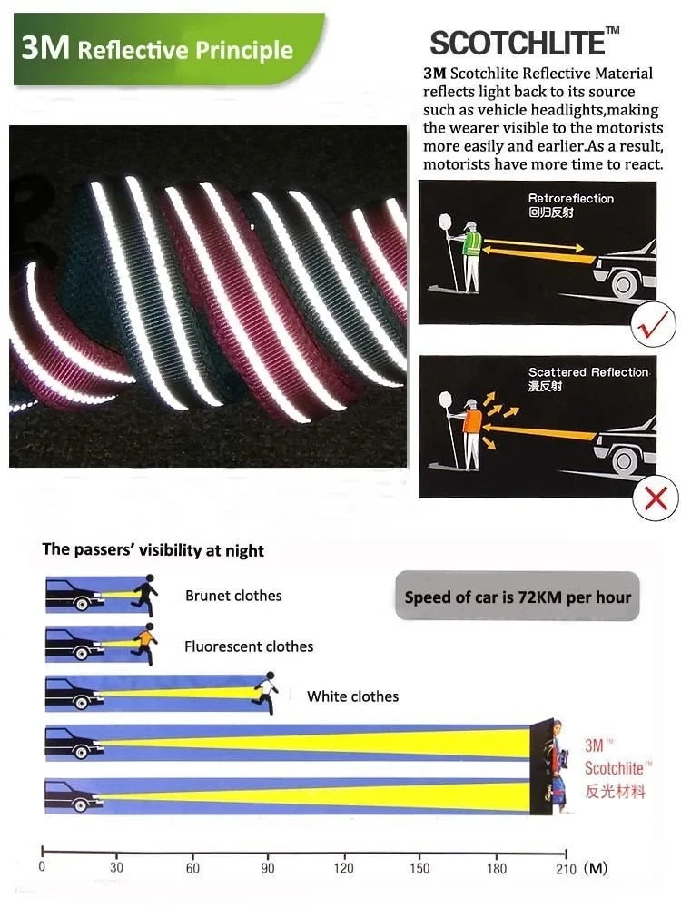 Dog Harness and Leash Set