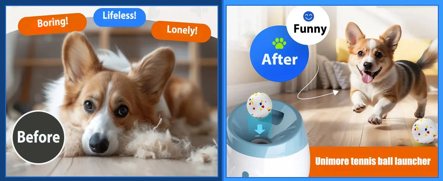 Automatic Dog Ball Launcher