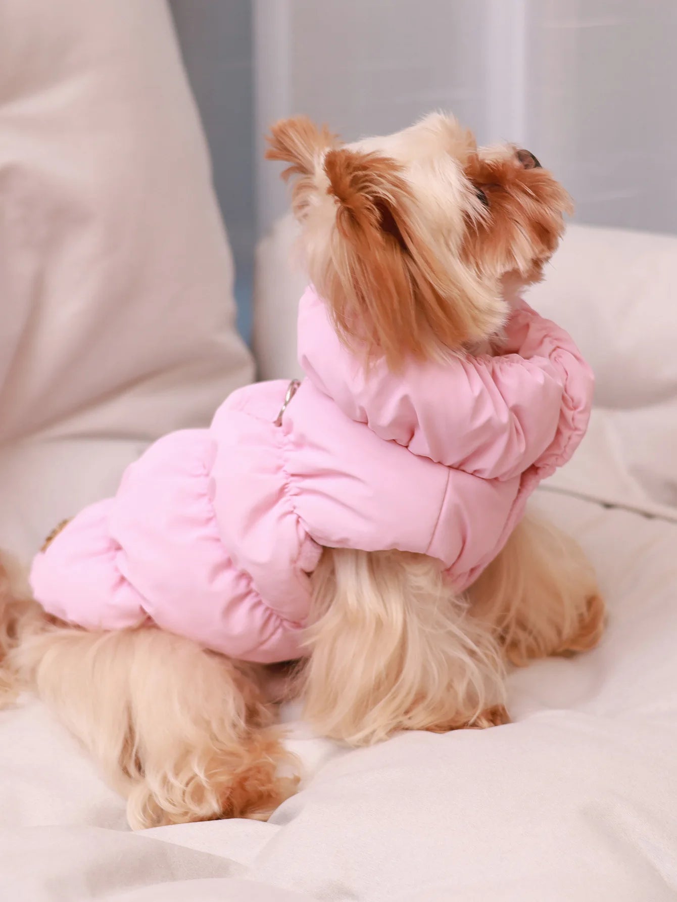 Dog Jacket For Autumn/Winter, Pet Coat, 3-Layer Thick Warm Outerwear, Suitable For Small To Medium Dogs
