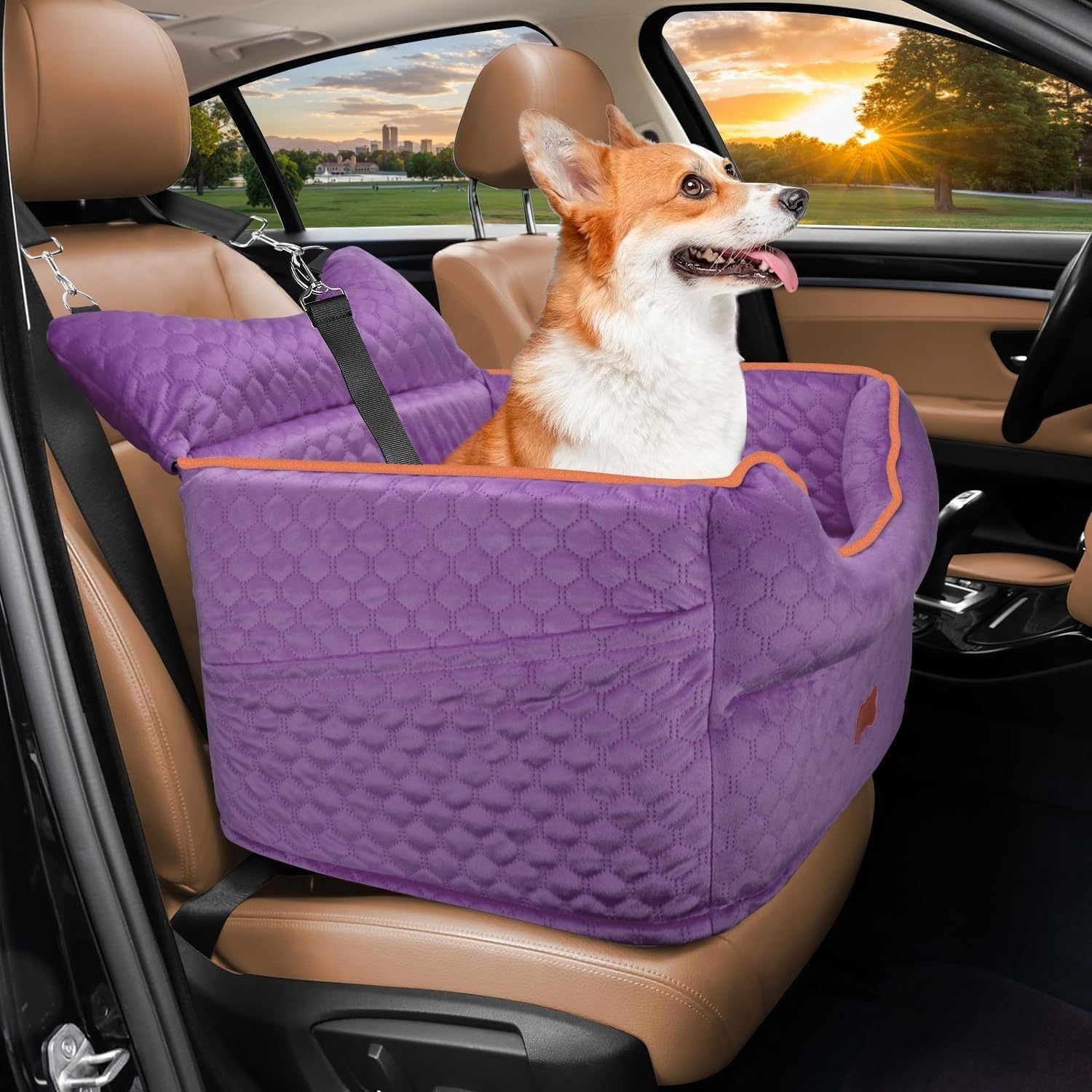 Elevated Dog Travel Seat with Removable Washable Bed