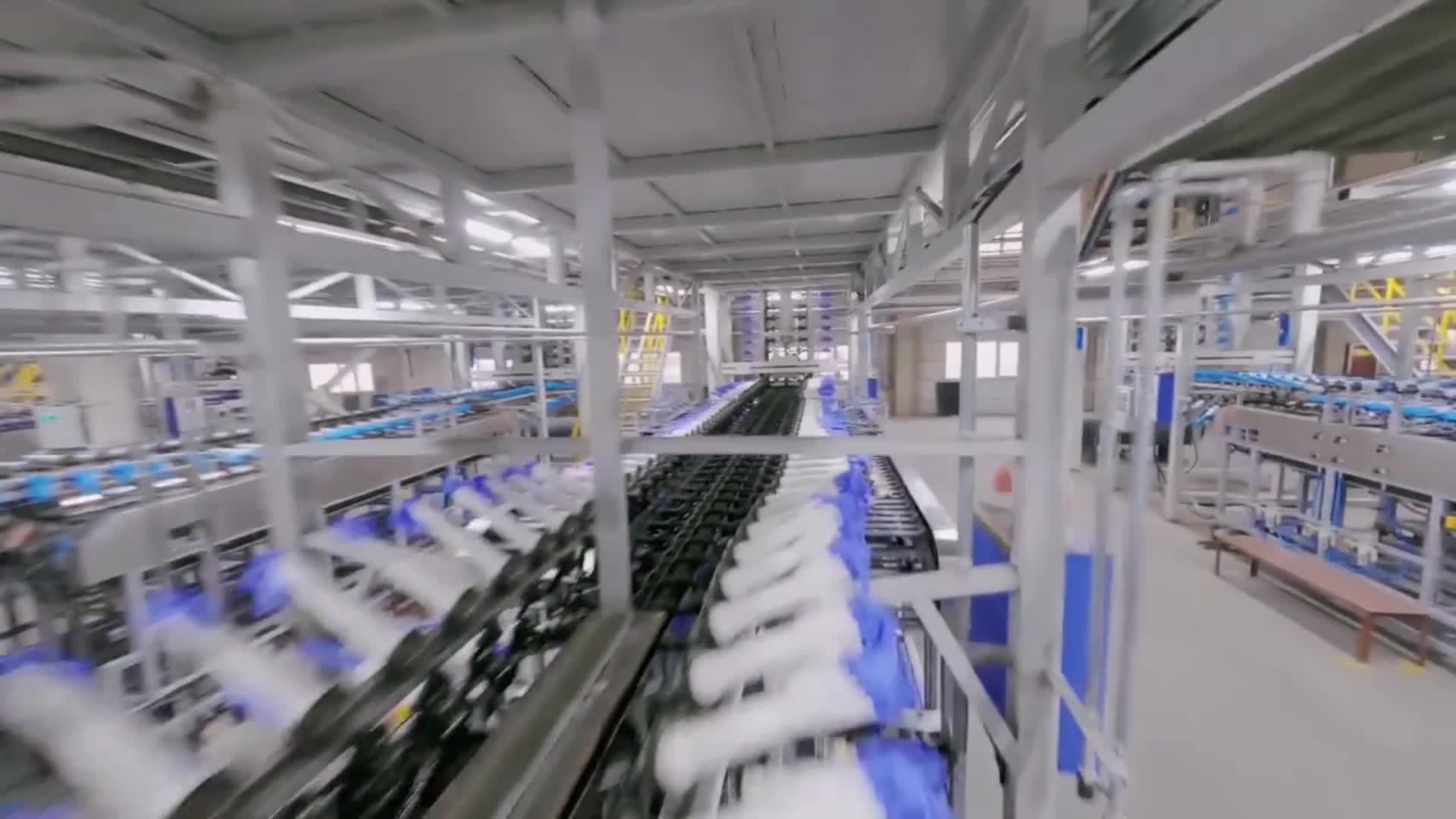 50pcs Black Disposable Nitrile Gloves for Dog Grooming