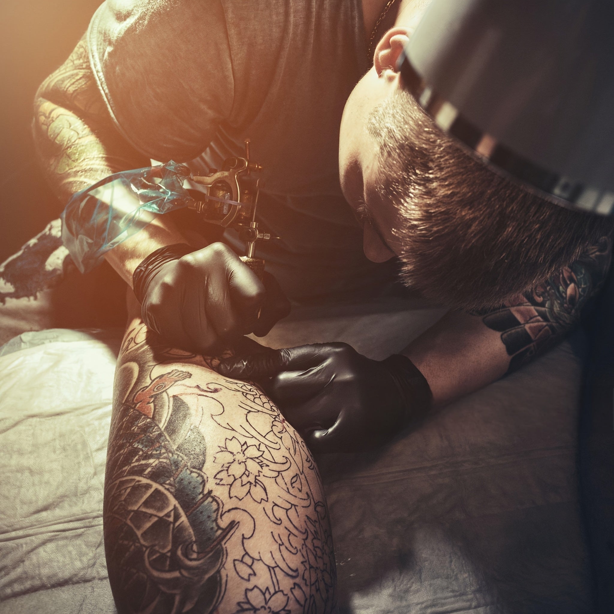 50pcs Black Disposable Nitrile Gloves for Dog Grooming