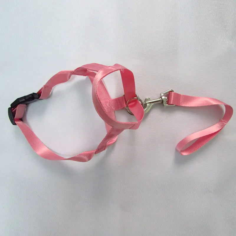 Harness Adjustable Muzzle Dog Halter Leader Belt Dog Collar