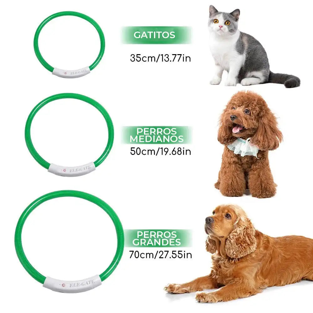 Luminous Pet Dog Collar LED Adjustable Rechargeable