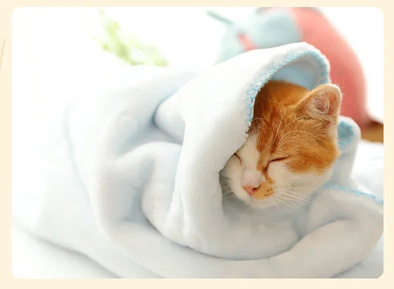 Plush Pet Blanket