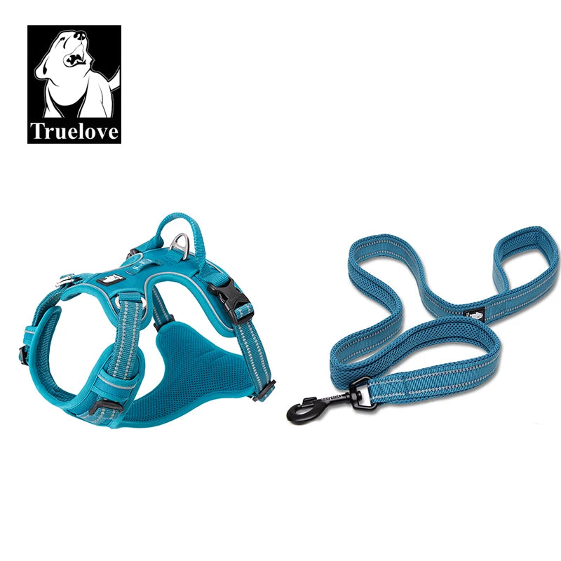 Dog Harness and Leash Set