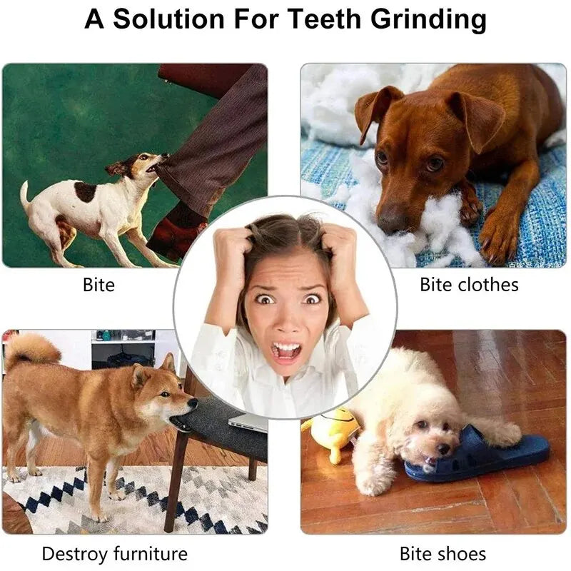Dog Toy Ball, Nontoxic Bite Resistant Toy Ball for Pet Dogs Food Treat Feeder