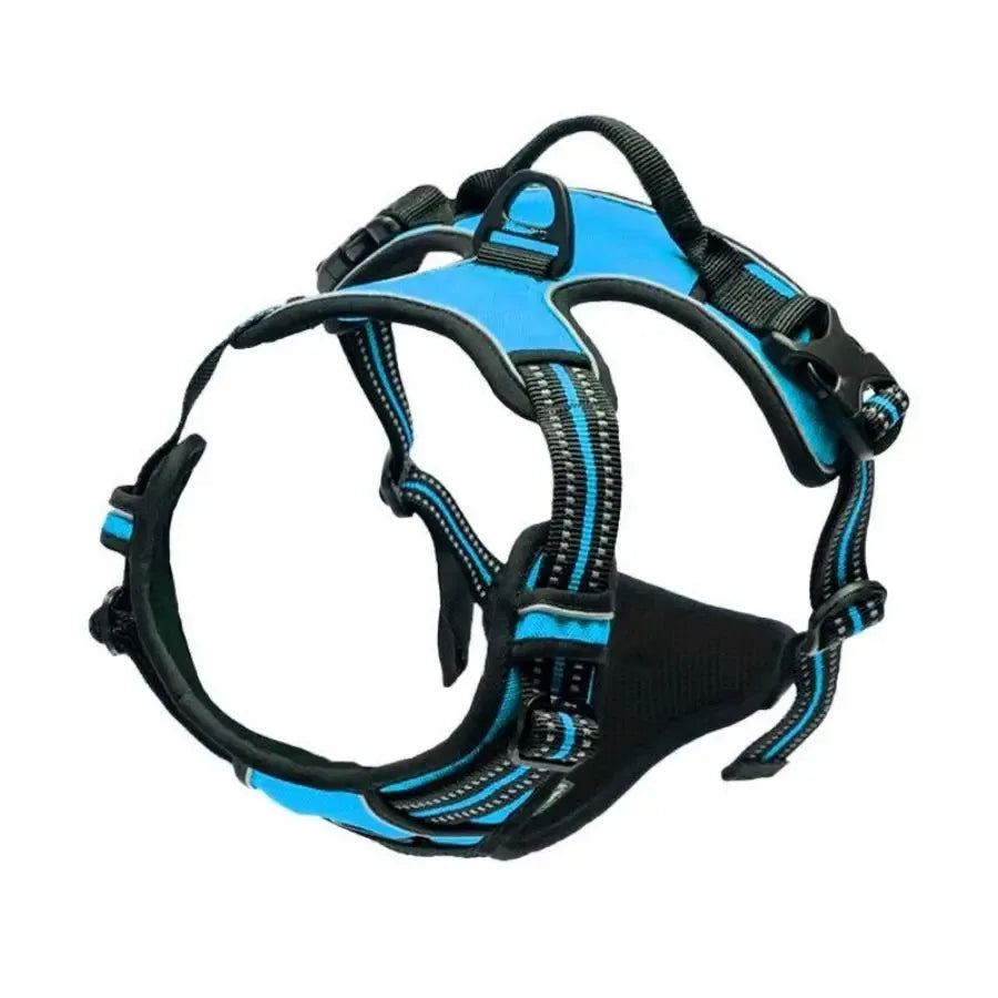 Premium Dog Harness Set