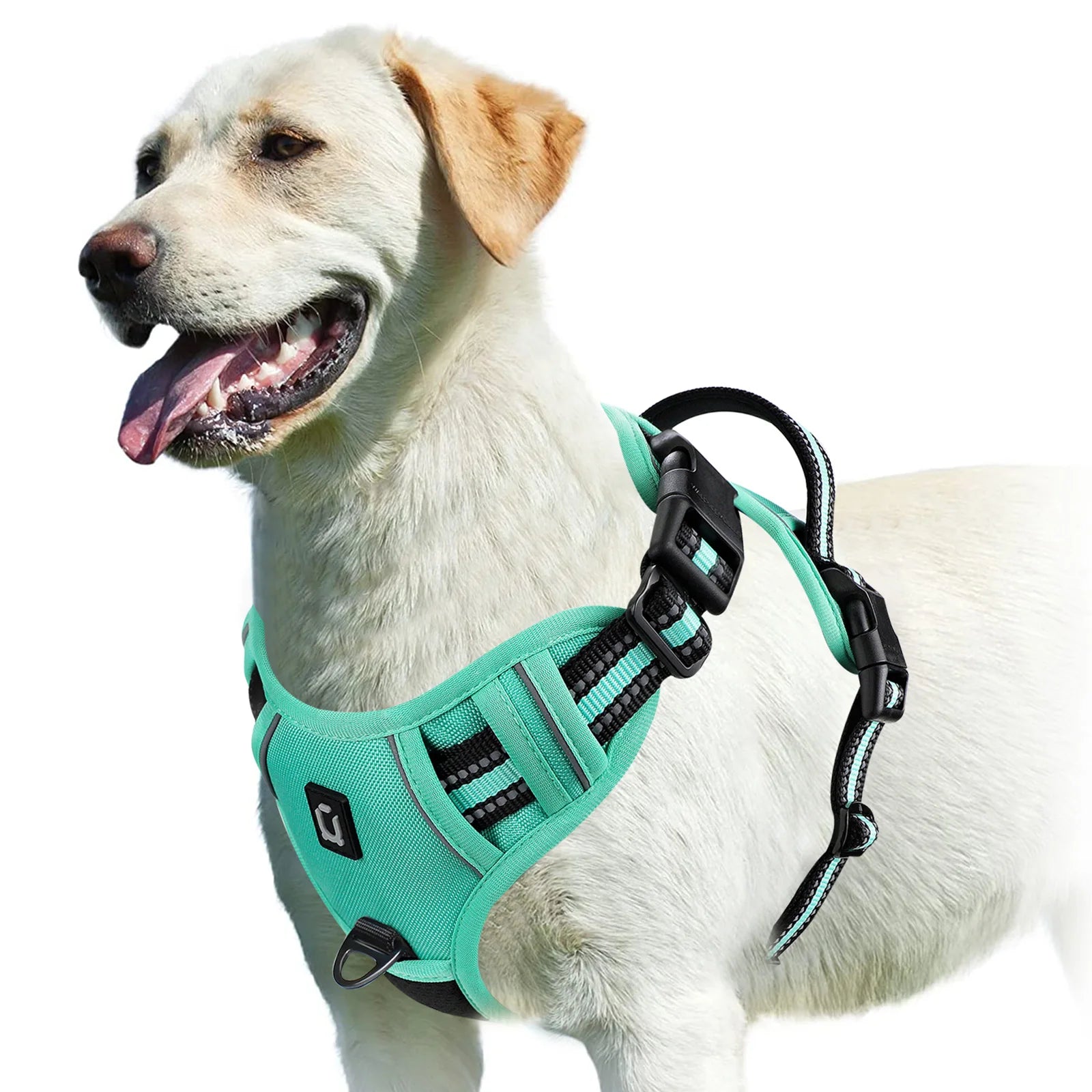No-Pull Dog Harness Vest