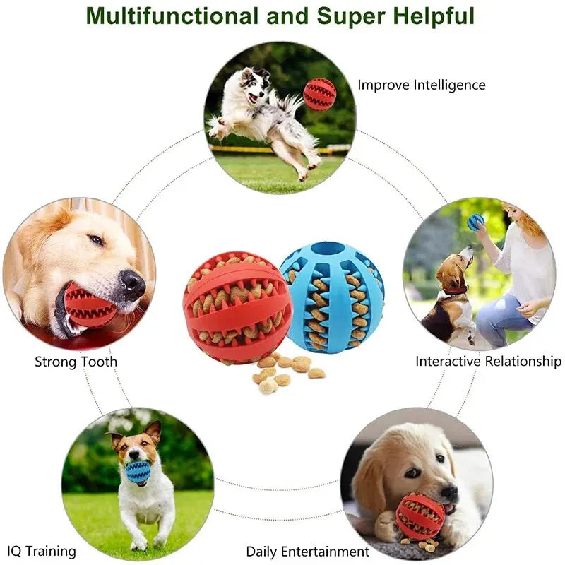 Dog Toy Ball, Nontoxic Bite Resistant Toy Ball for Pet Dogs Food Treat Feeder