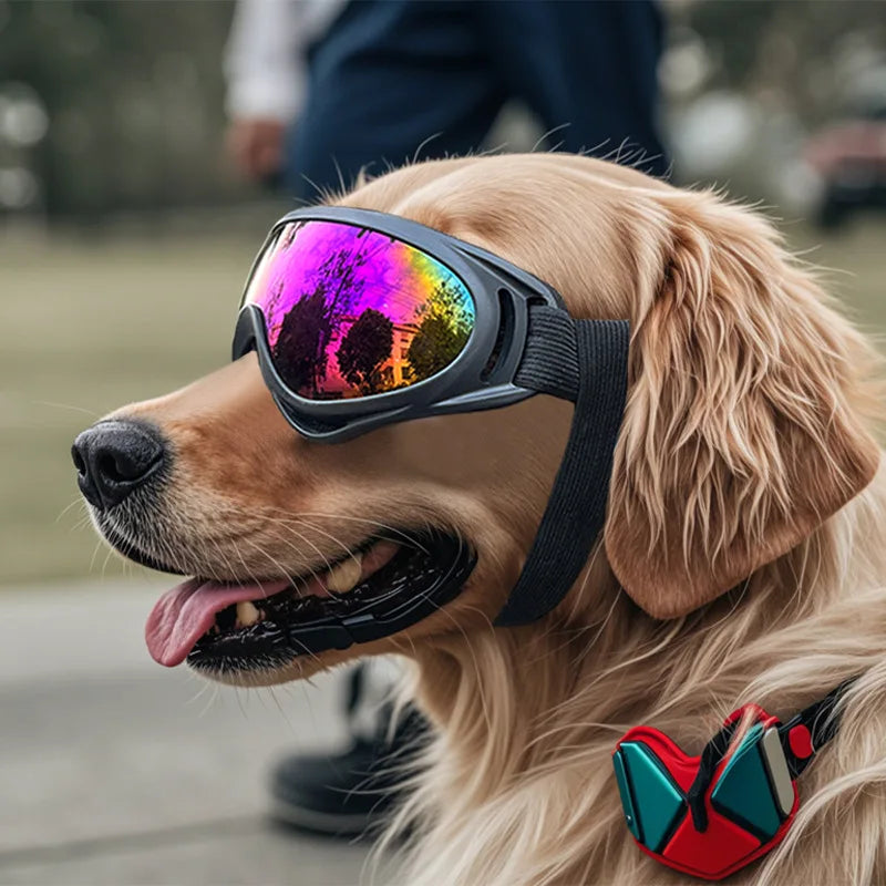 Dog Adjustable Dog Goggles Sunglasses Anti-UV Sun Glasses Eye Wear Protection