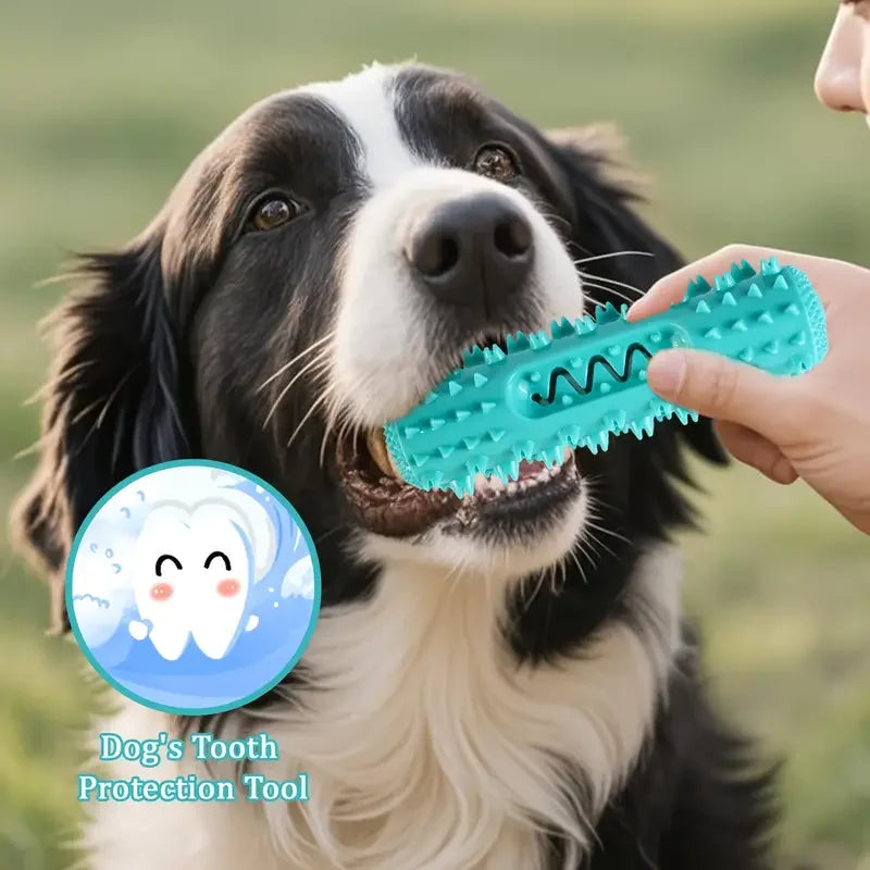 Dog Dental Chew Toothbrush Toy