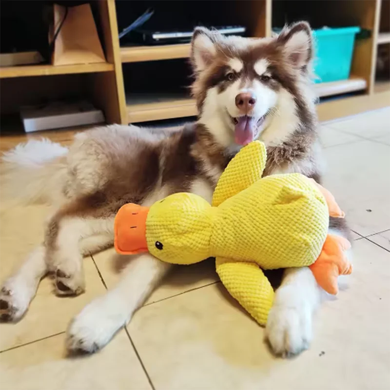 Dog sleeping with a dog hug duck toys to relieve boredom of little yellow duck pet
