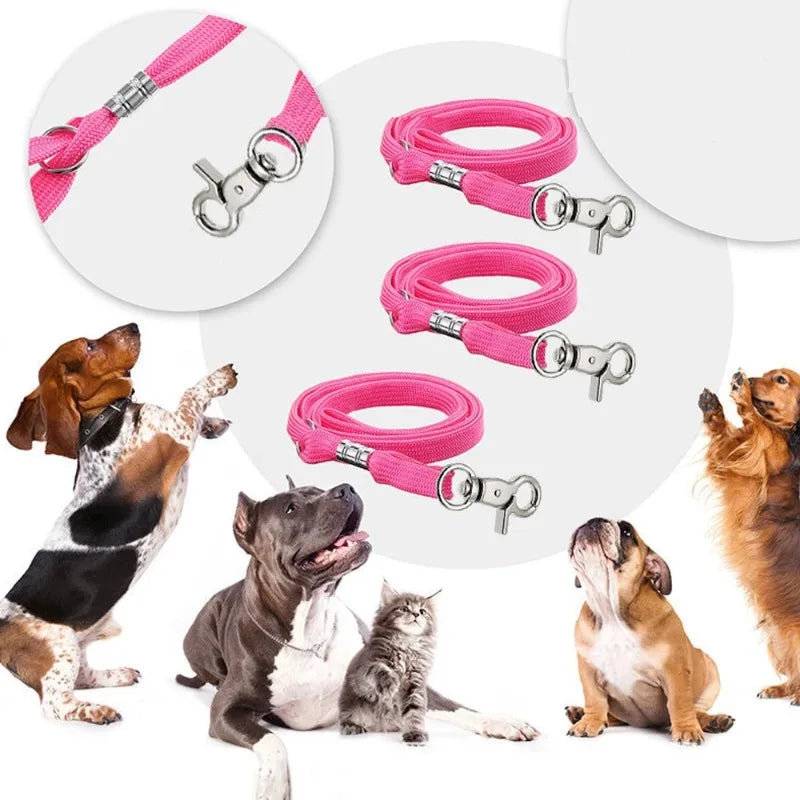 Adjustable Pet Grooming Fixed Rope Quick Release Lock Clip for Dog