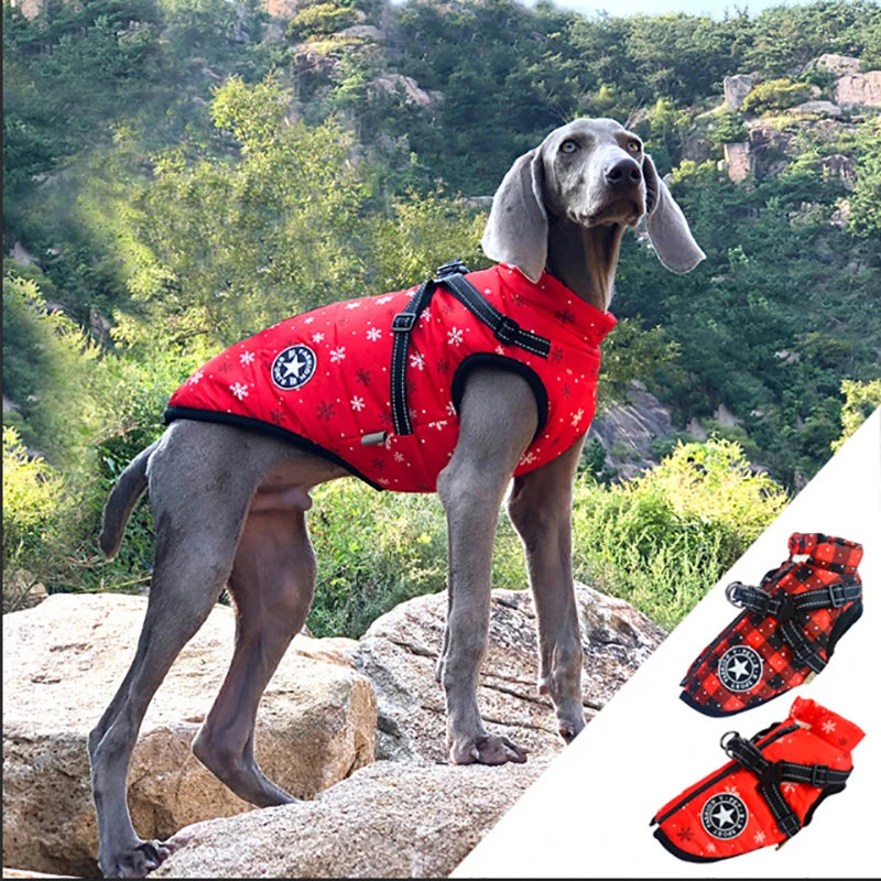 Winter Dog Clothes with Harness Waterproof Warm Pet Dog Cotton Jacket