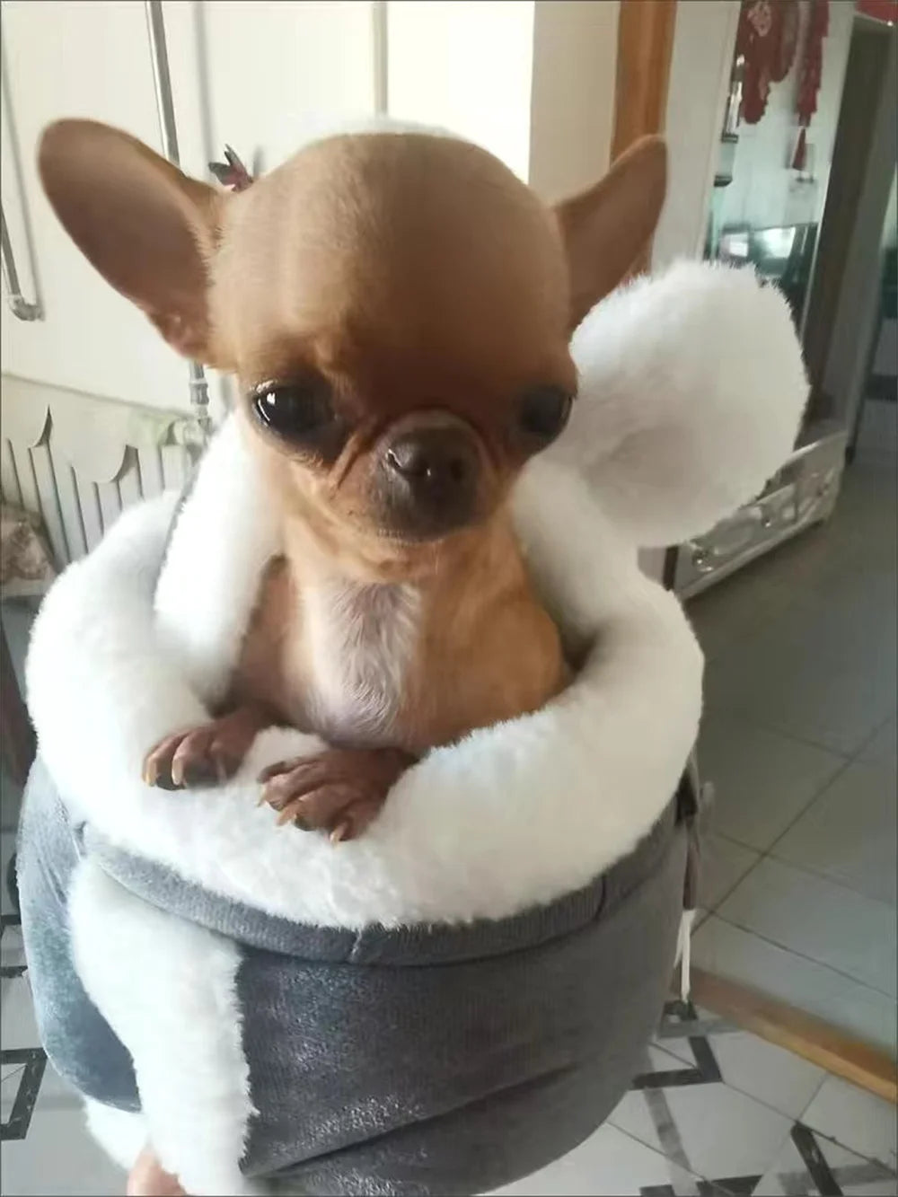 Winter Warm Pet Carrier Backpack