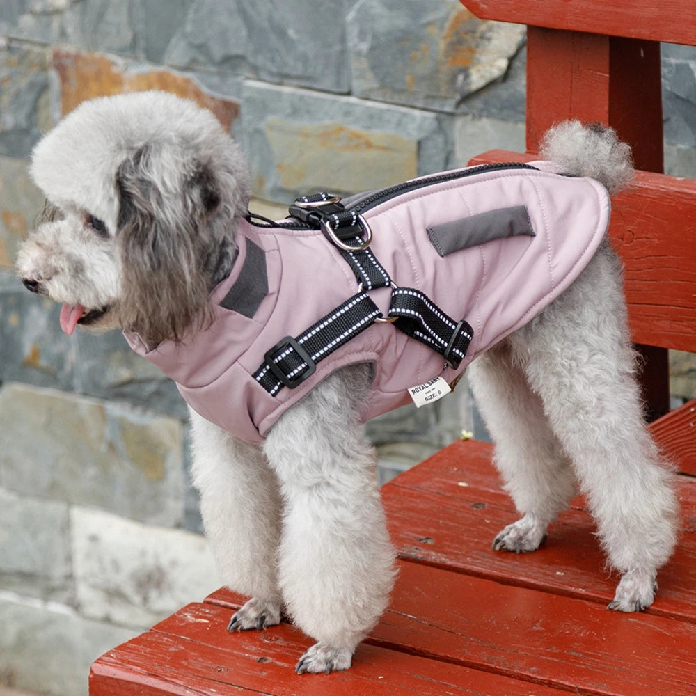 Dog Windbreaker Jacket with Leash