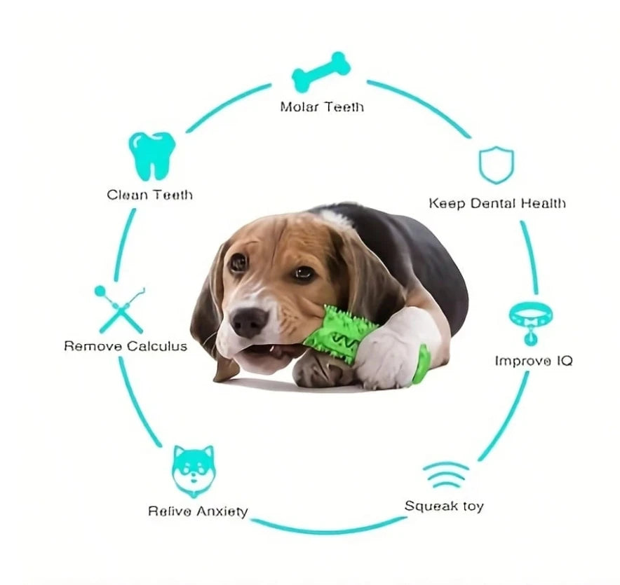 Dog Gift - Tooth Chewing toy, providing complete oral care for dogs that love chewing and preventing tartar accumulation