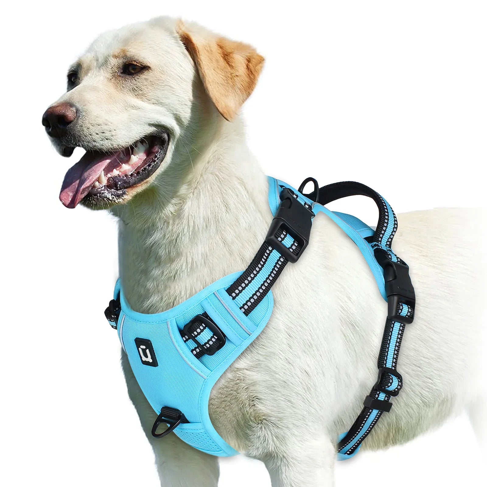 No-Pull Dog Harness Vest