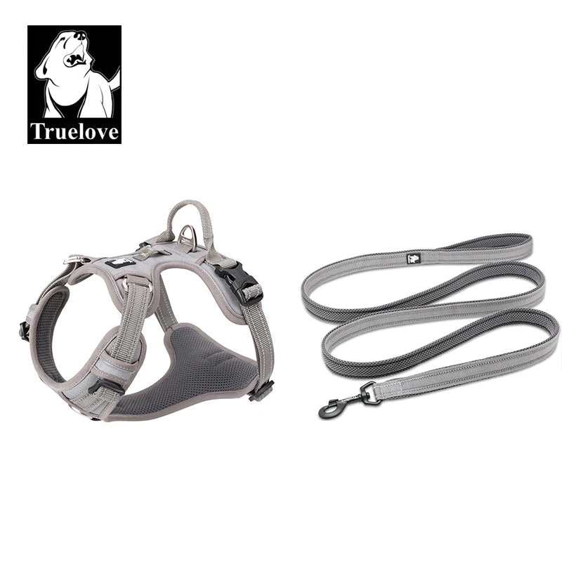 Dog Harness and Leash Set