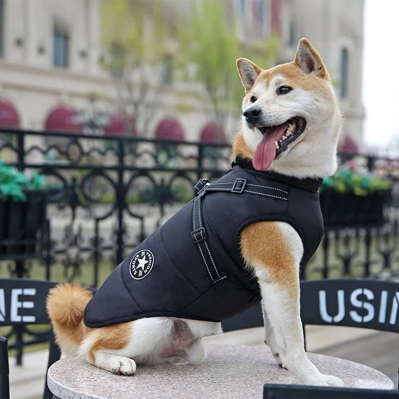 Winter Dog Clothes with Harness Waterproof Warm Pet Dog Cotton Jacket