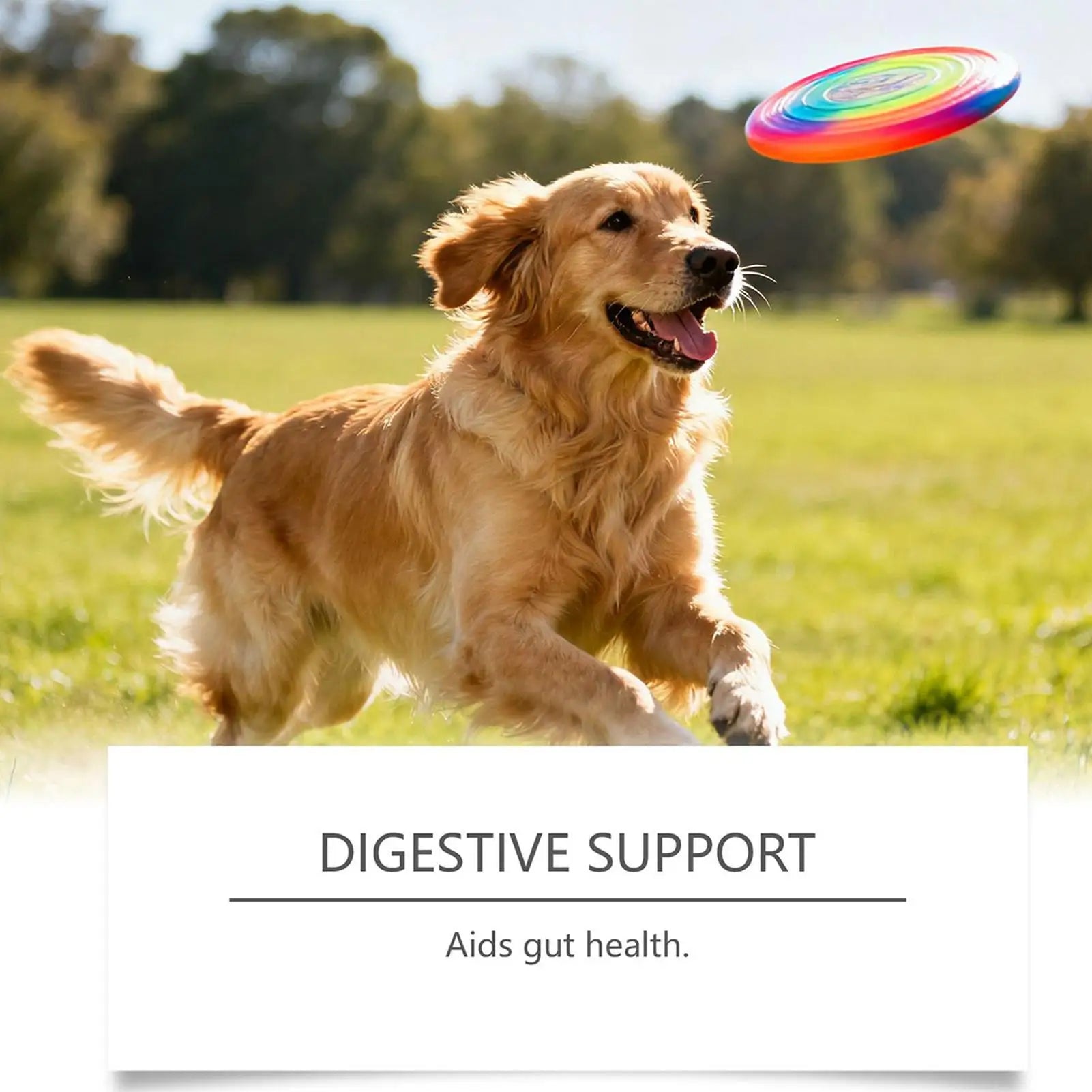 Joint Supplement for Dogs Chewable Pill 100-piece Dog Hip & Joint Care