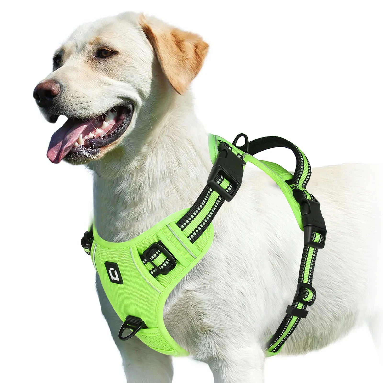 No-Pull Dog Harness Vest