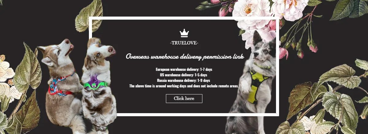 Reflective Padded Dog Collar