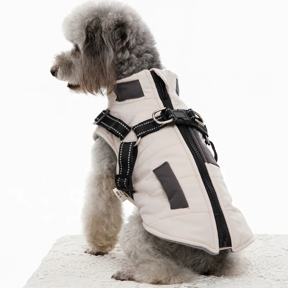 Dog Windbreaker Jacket with Leash