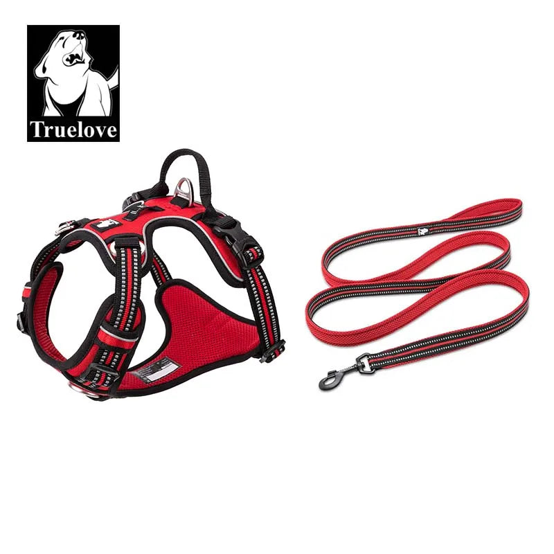 Dog Harness and Leash Set