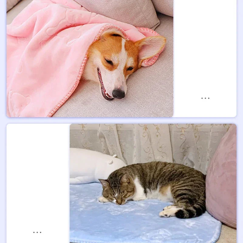 Plush Pet Blanket