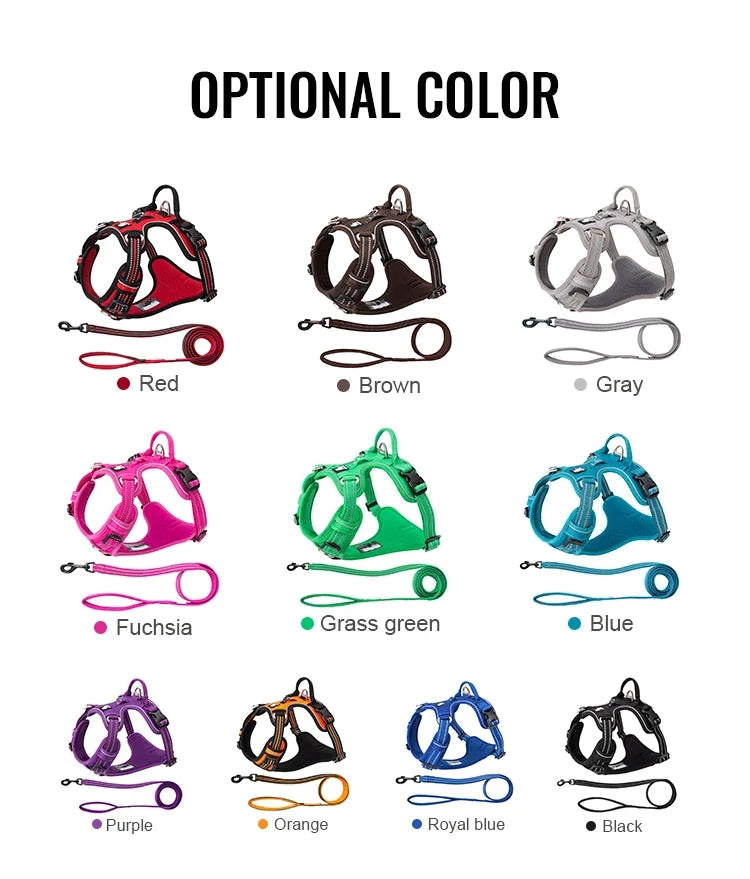 Dog Harness and Leash Set