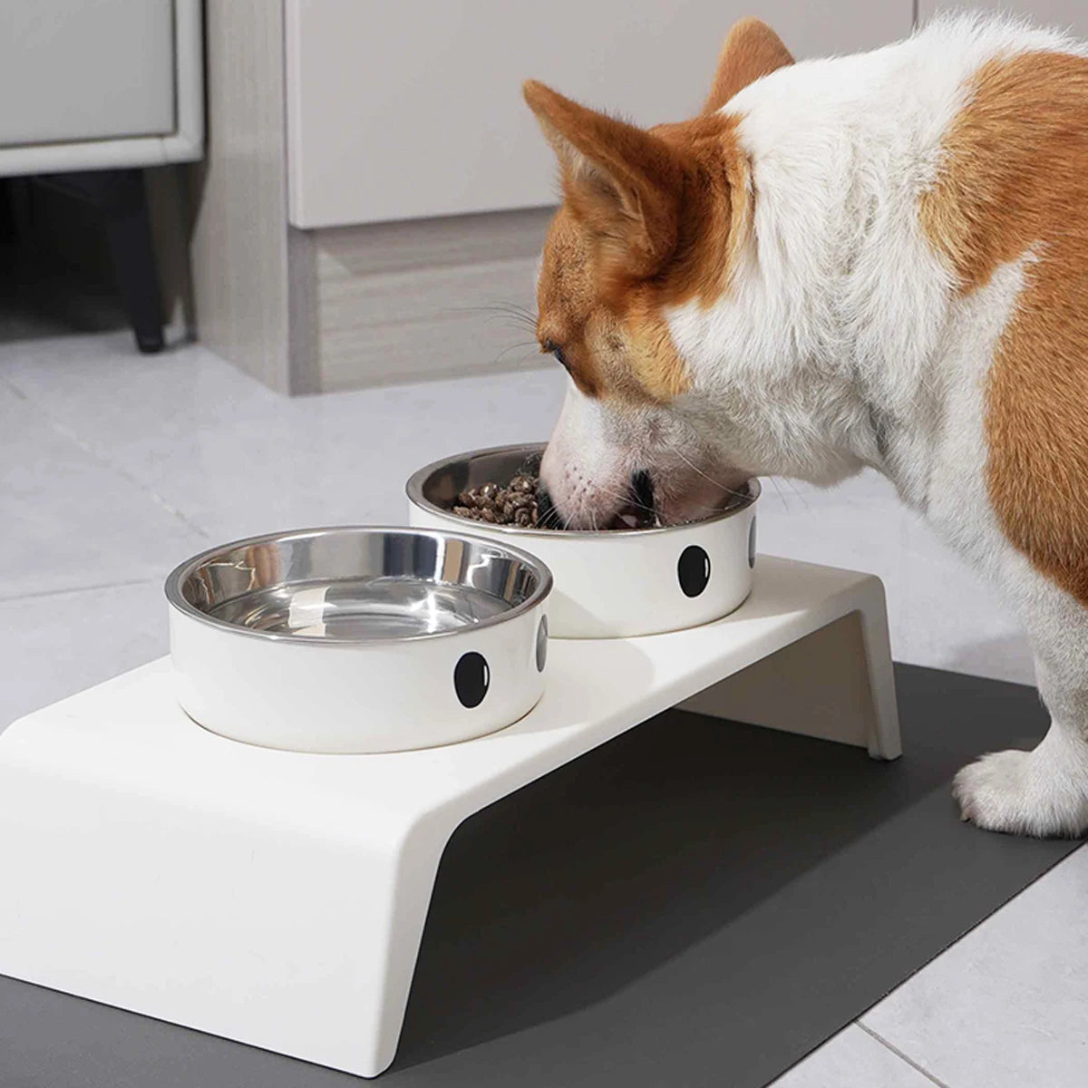 Elevated Pet Dog Feeder Bowls Raised Stand with Double Stainless Steel Food Water Bowls