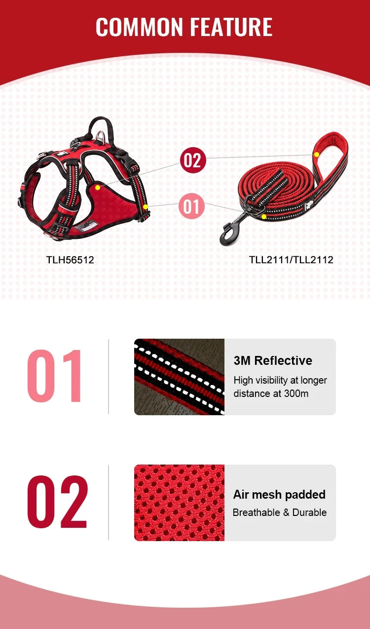 Dog Harness and Leash Set