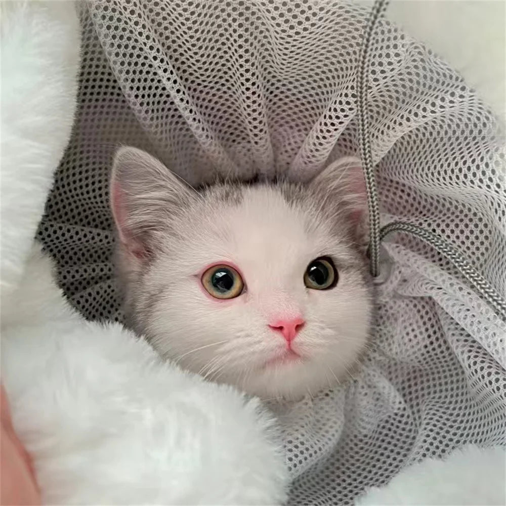 Winter Warm Pet Carrier Backpack