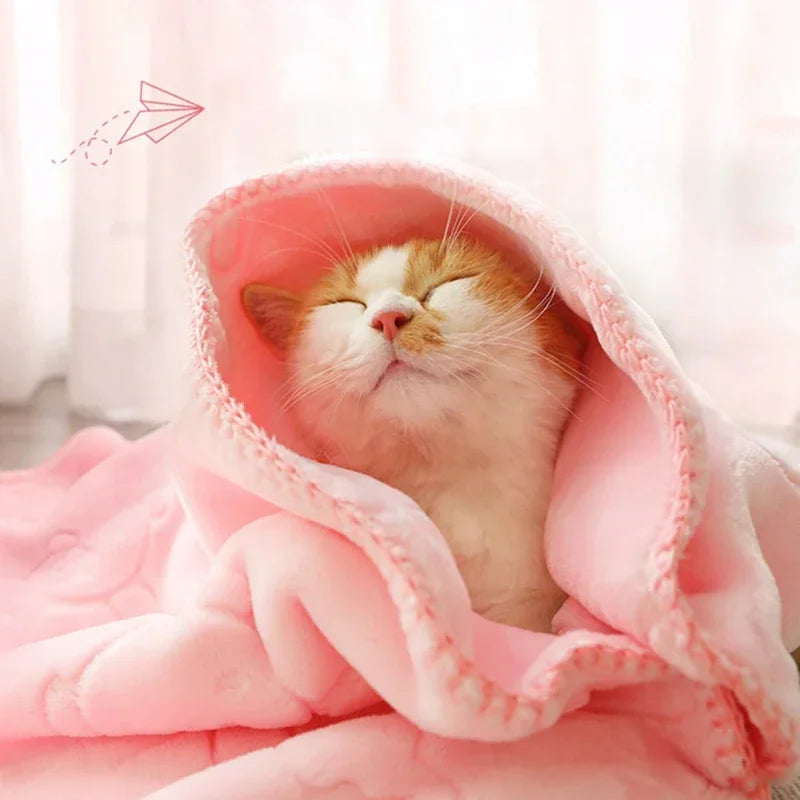 Plush Pet Blanket