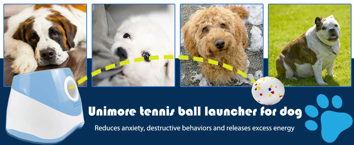 Automatic Dog Ball Launcher