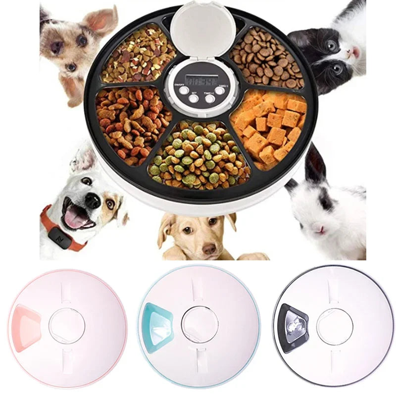 Dog 6 Meal Trays, Digital Timer, Portion Control, with Voice Recorder, Automatic Feeder