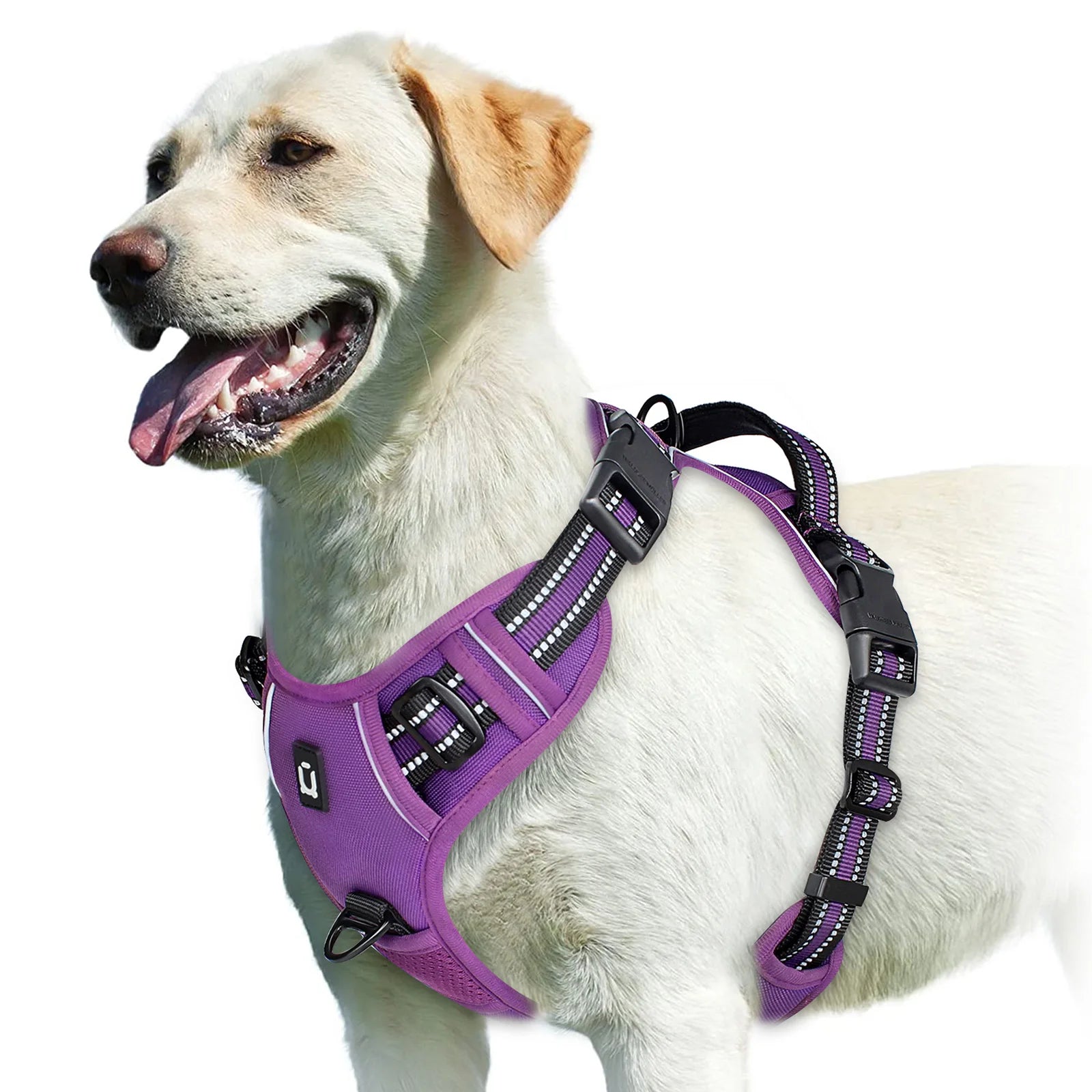 No-Pull Dog Harness Vest