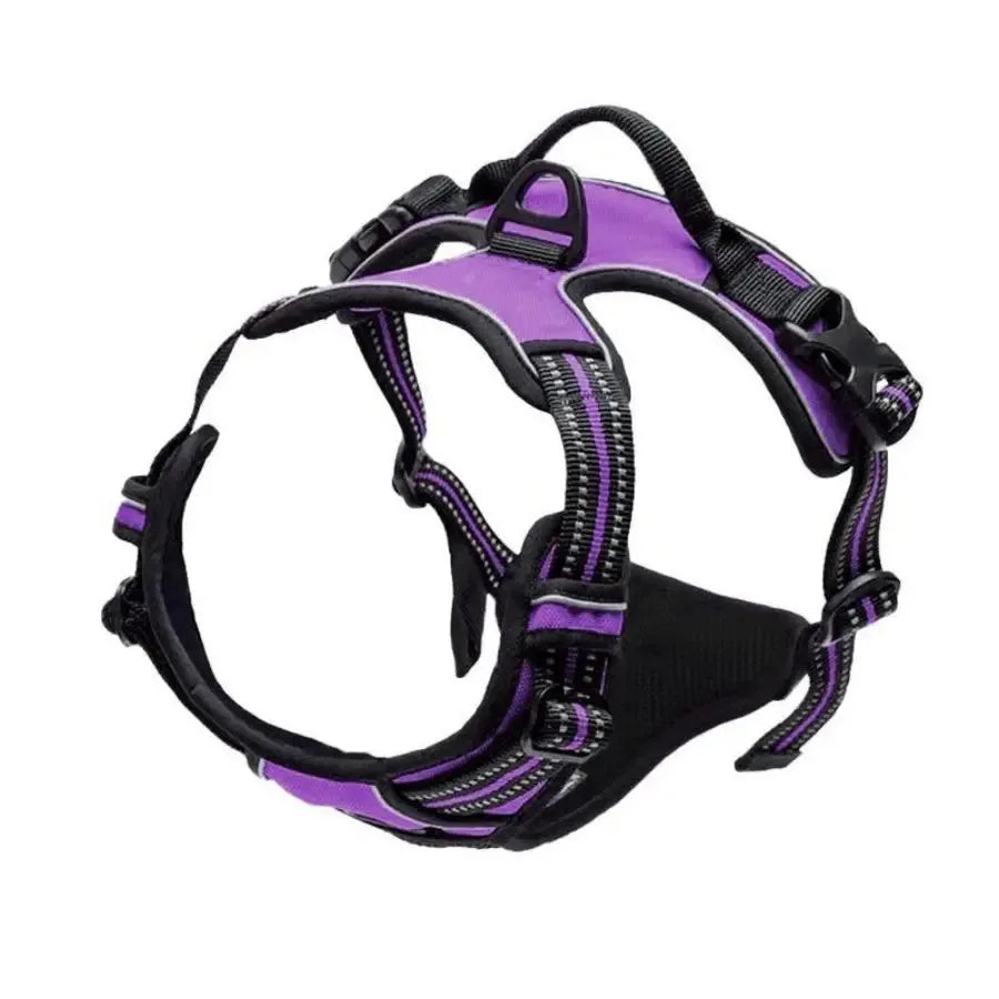 Premium Dog Harness Set